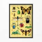 12-piece insect puzzle