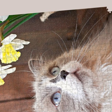 Revendeurs | Puzzle Personnalisé 110 Pièces | La Puzzlerie