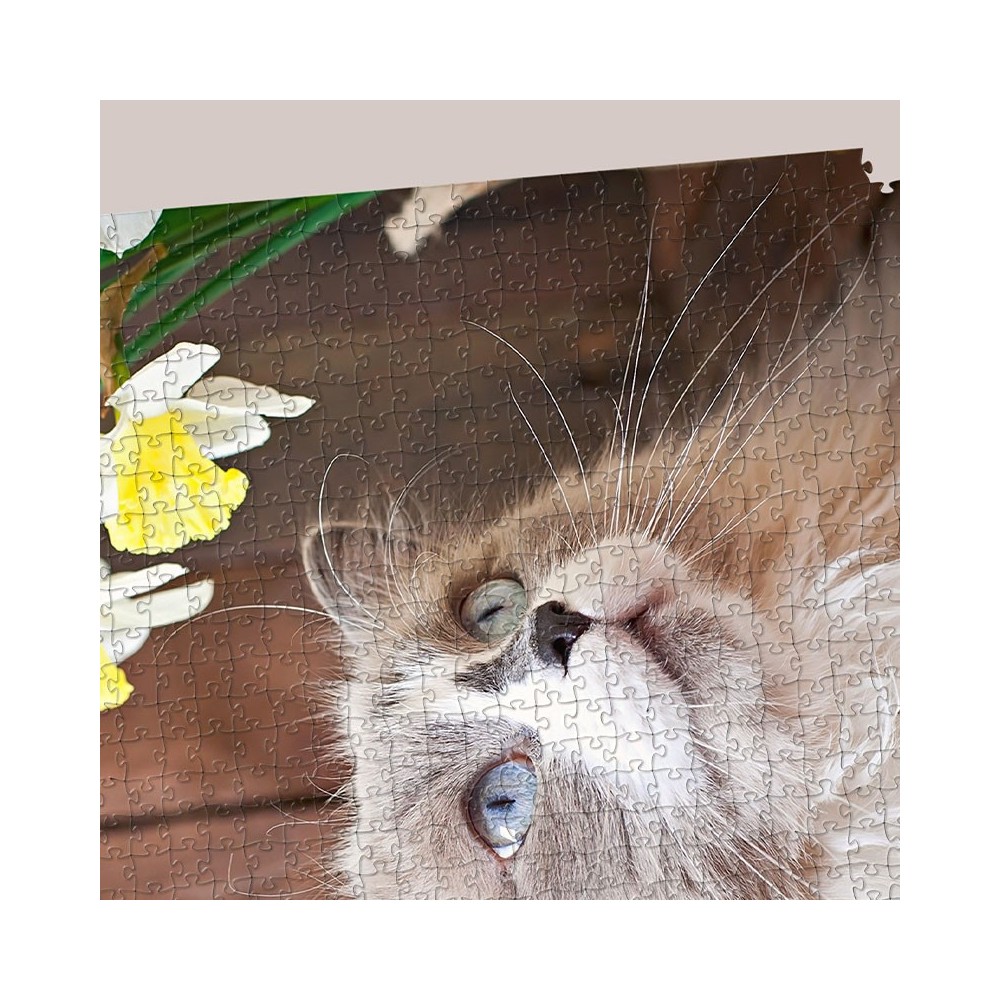 Dealer | 110 Piece Custom Puzzle | La Puzzlerie