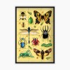 Children's Insects Puzzle | La Puzzlerie