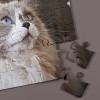 puzzle personnalisé pas cher